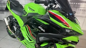 Kawasaki Ninja 500 SE (2024 - 26)  (8)