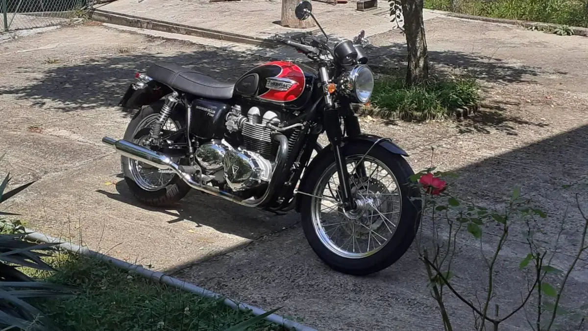 Triumph Bonneville T100 (2001 - 07)  (6)