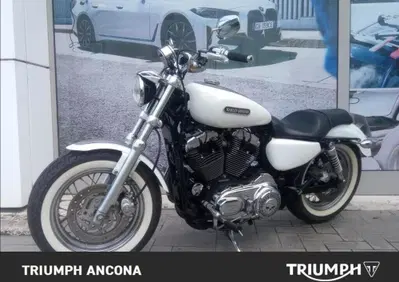 Harley-Davidson 1200 Low (2008 - 09) - XL 1200L - Annuncio 9999705