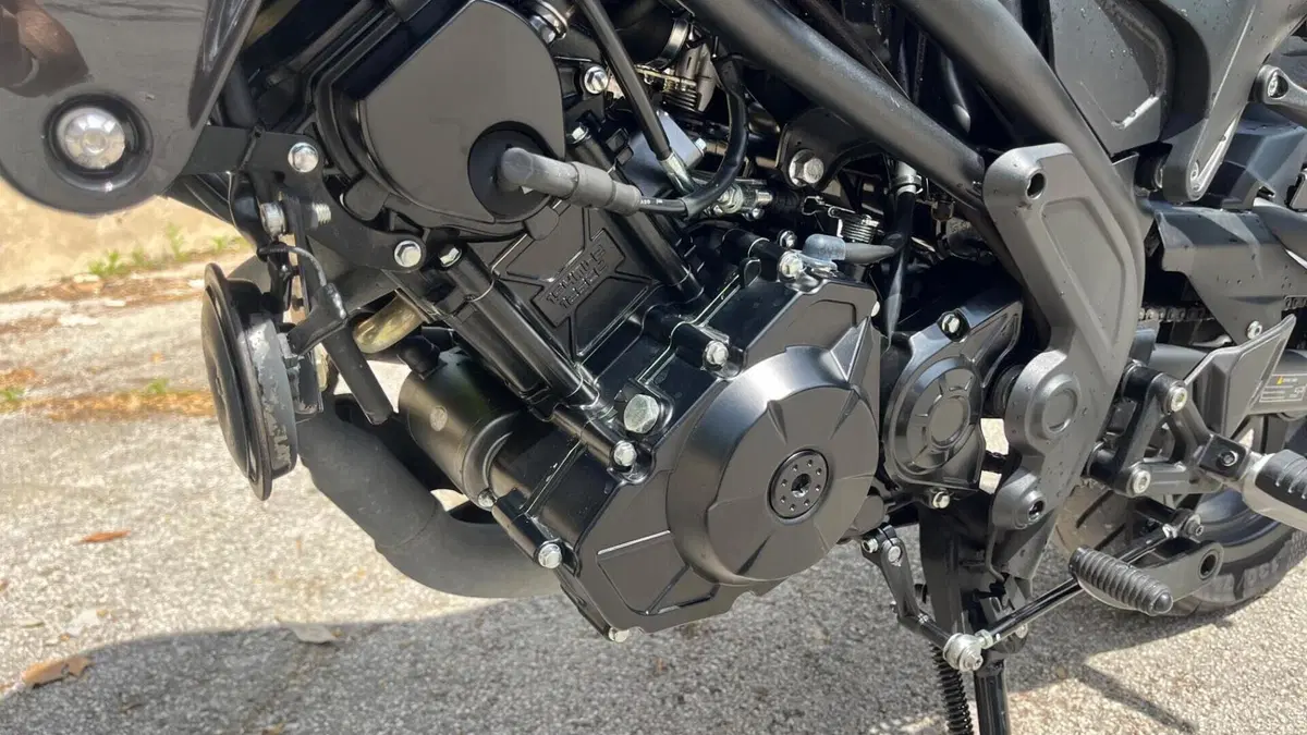Benelli Leoncino 125 (2022 - 25)  (8)