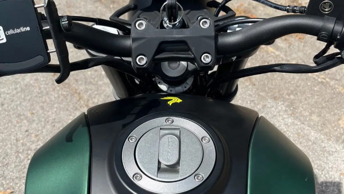 Benelli Leoncino 125 (2022 - 25)  (16)