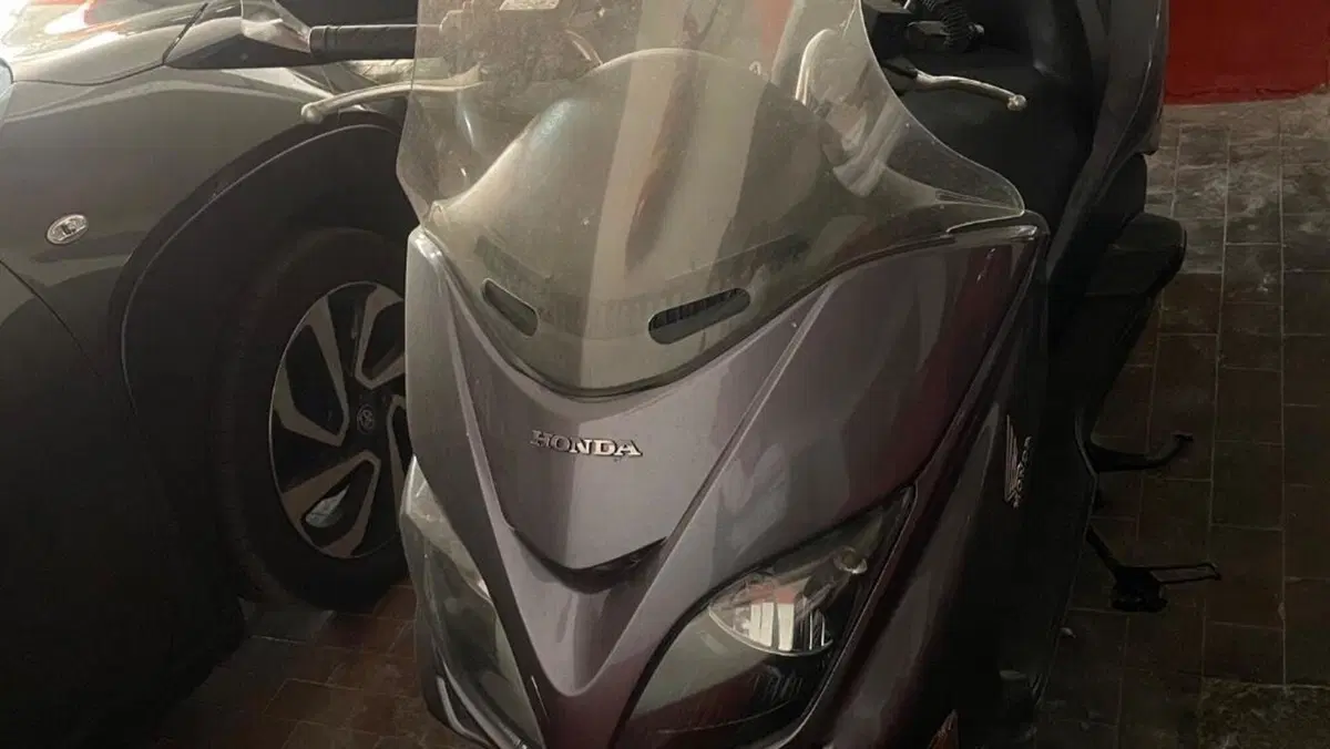 Honda Forza 250 EX (2005 - 07)  (2)