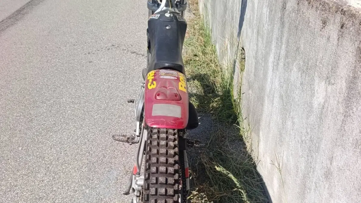 Betamotor REV-3 250 (2002 - 05)  (5)