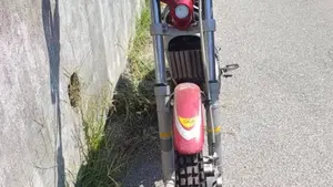 Betamotor REV-3 250 (2002 - 05)  (6)