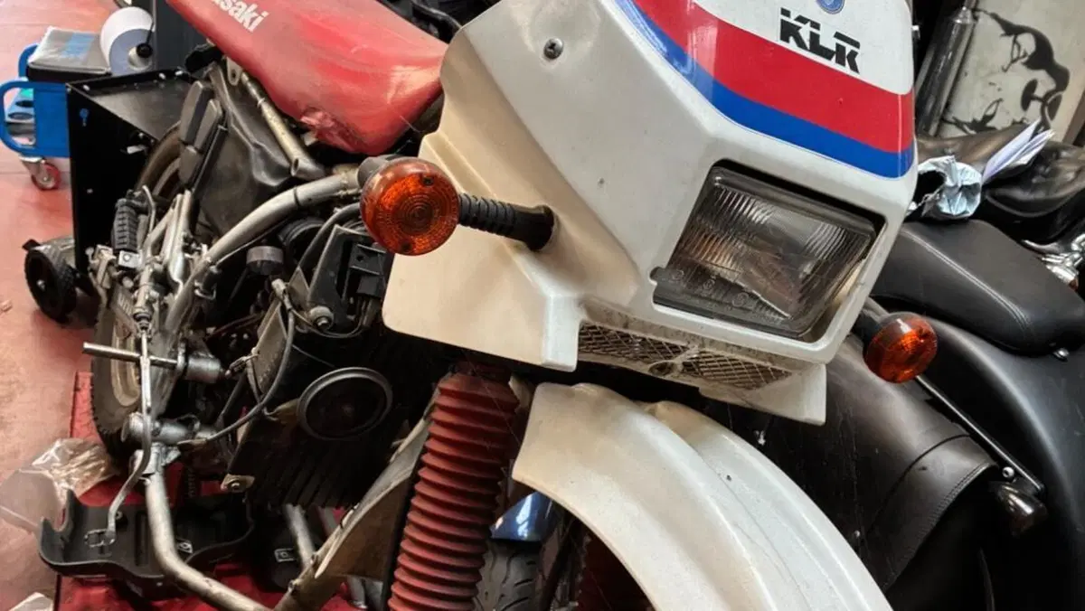 Kawasaki KLR 650 (1988 - 00)  (3)