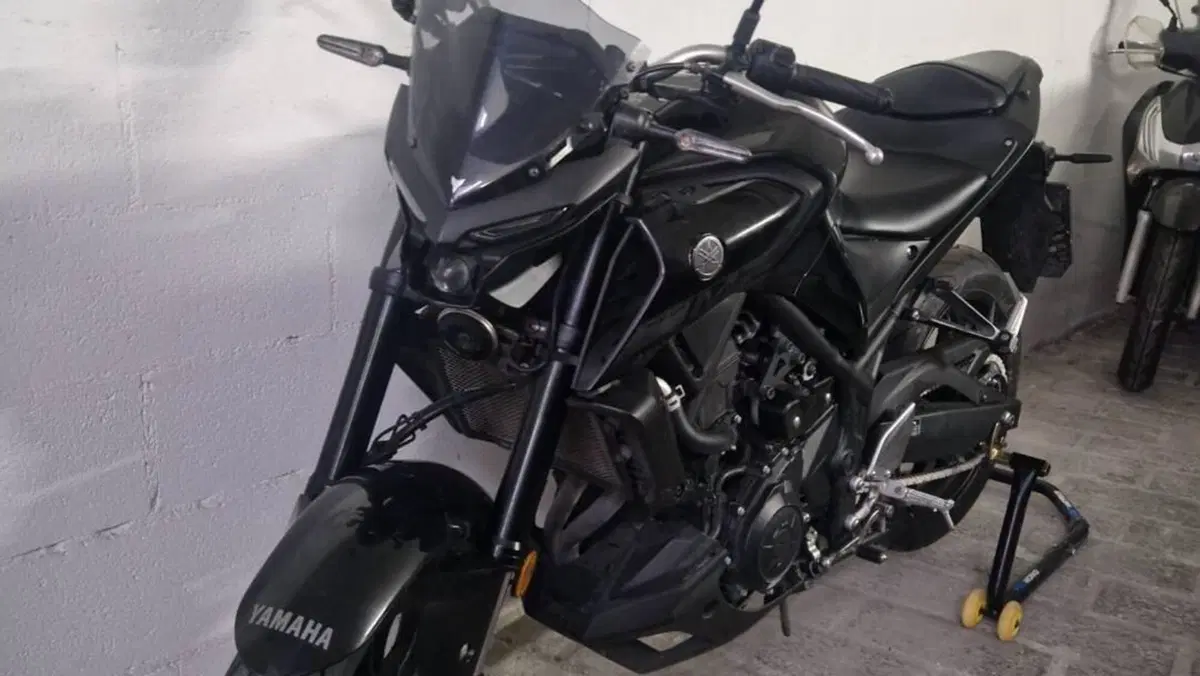 Yamaha MT-03 (2020)  (8)
