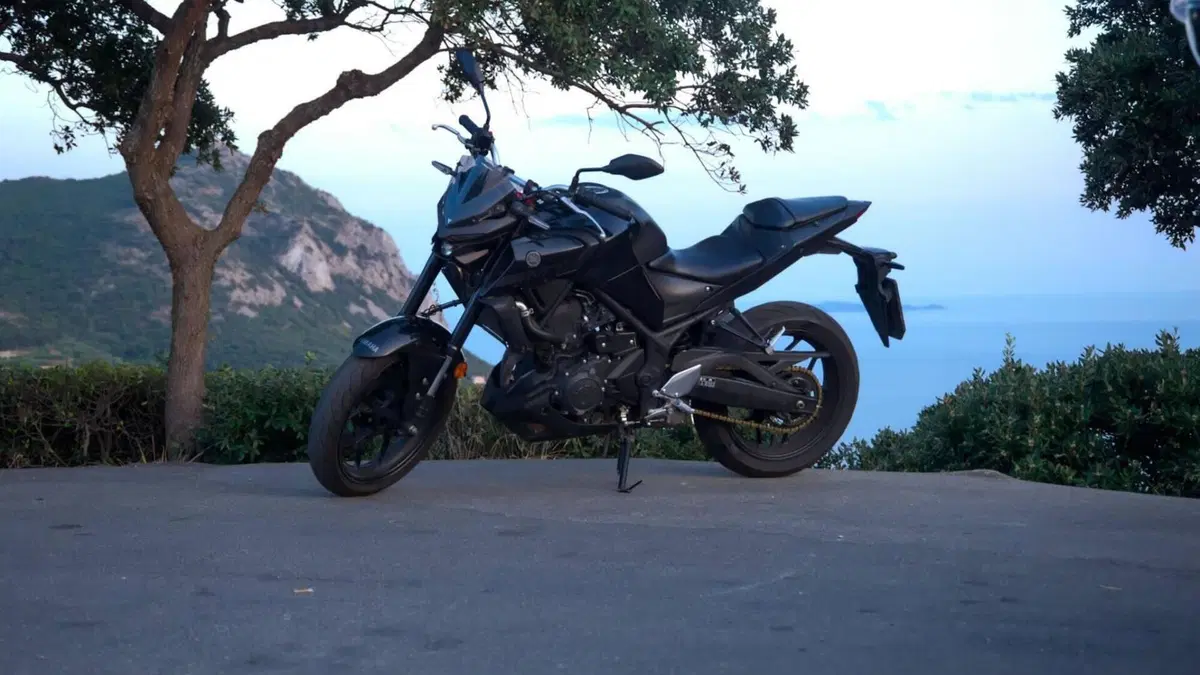 Yamaha MT-03 (2020)  (3)