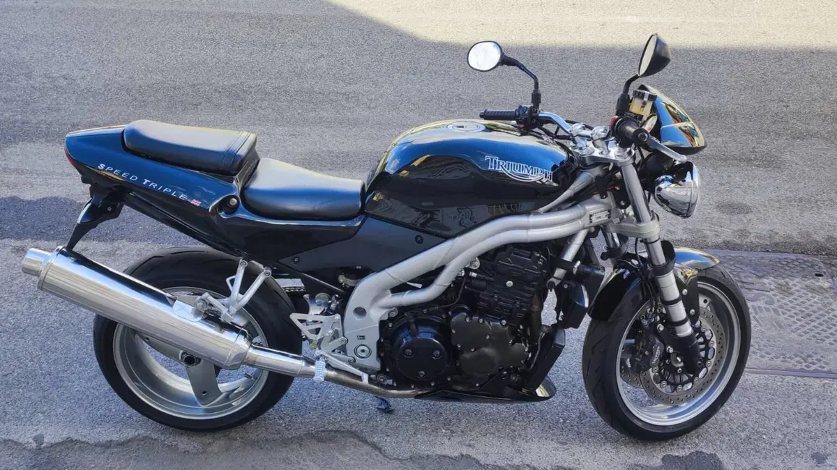 Triumph   (4)