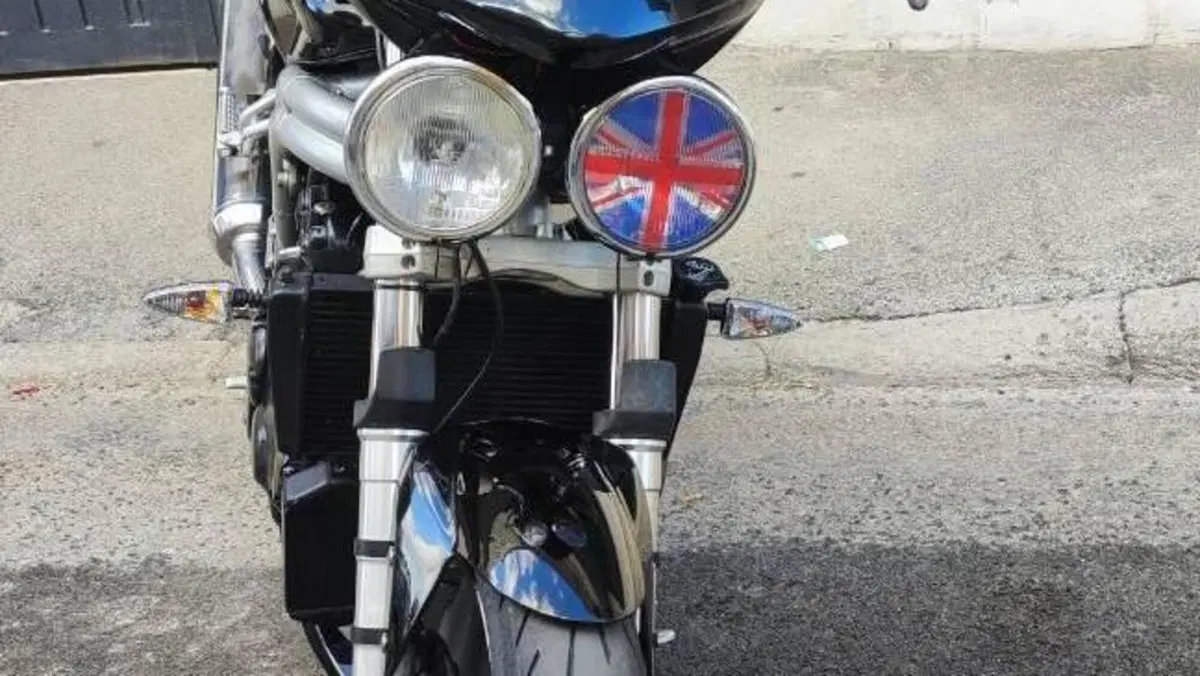 Triumph   (7)