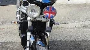 Triumph   (7)