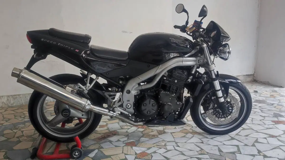 Triumph   (12)