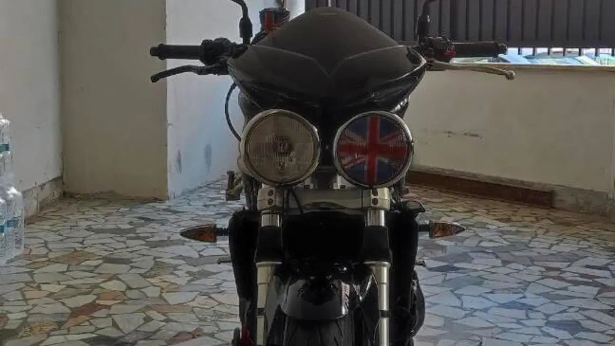 Triumph   (13)