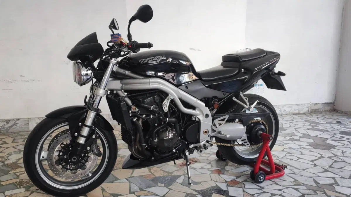 Triumph   (14)