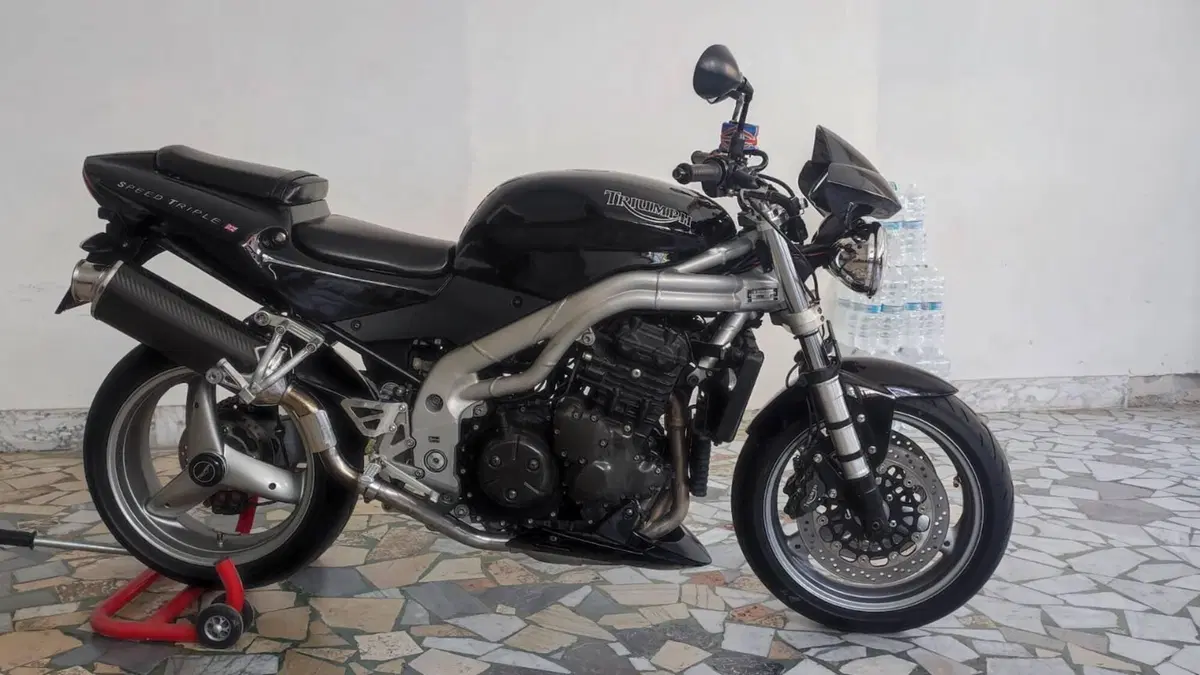Triumph   (16)
