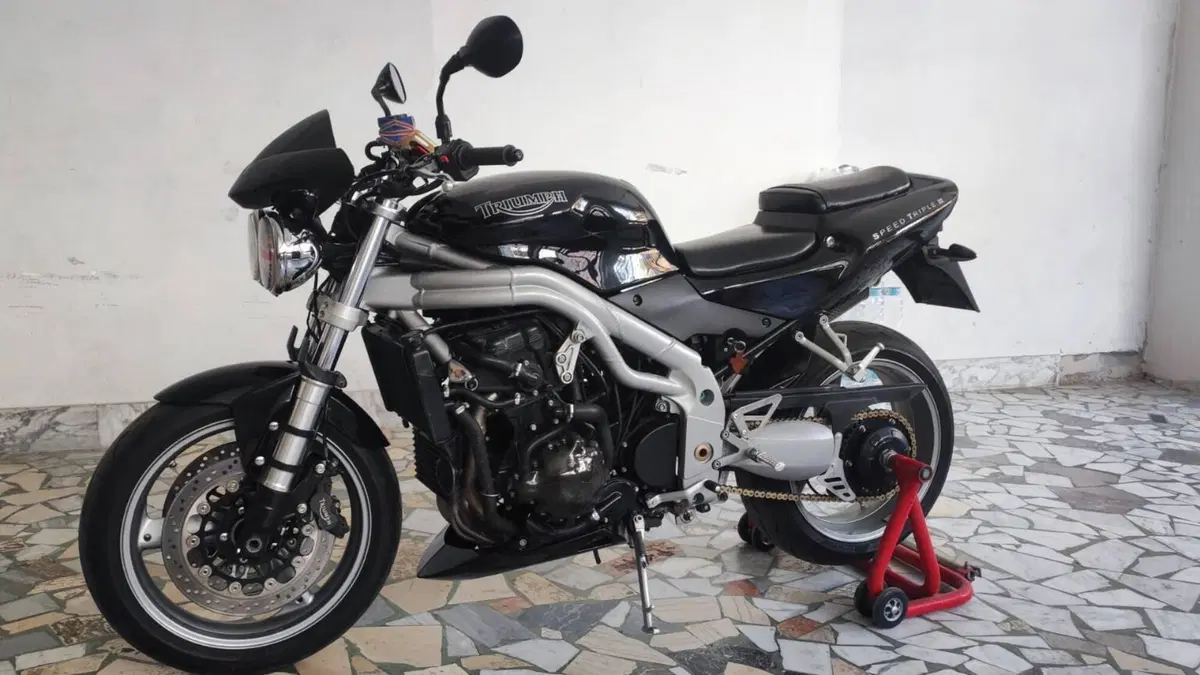 Triumph   (17)