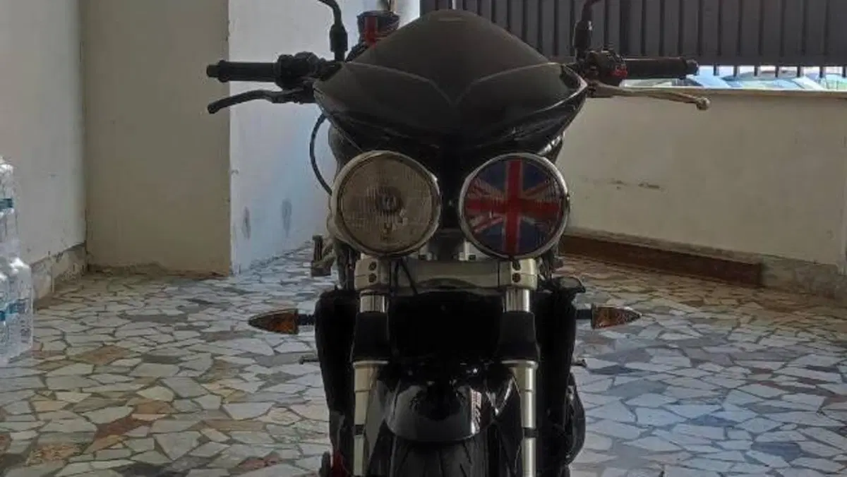 Triumph   (18)