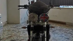 Triumph   (18)