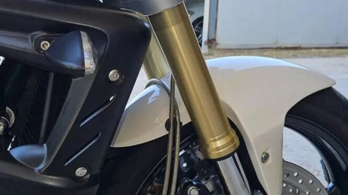 Triumph Street Triple R (2009 - 12)  (12)