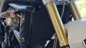 Triumph Street Triple R (2009 - 12)  (16)