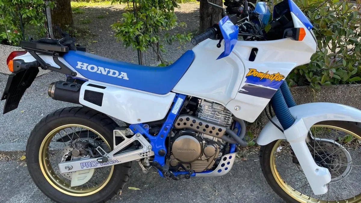 Honda NX 650 Dominator (1991 - 95)  (2)
