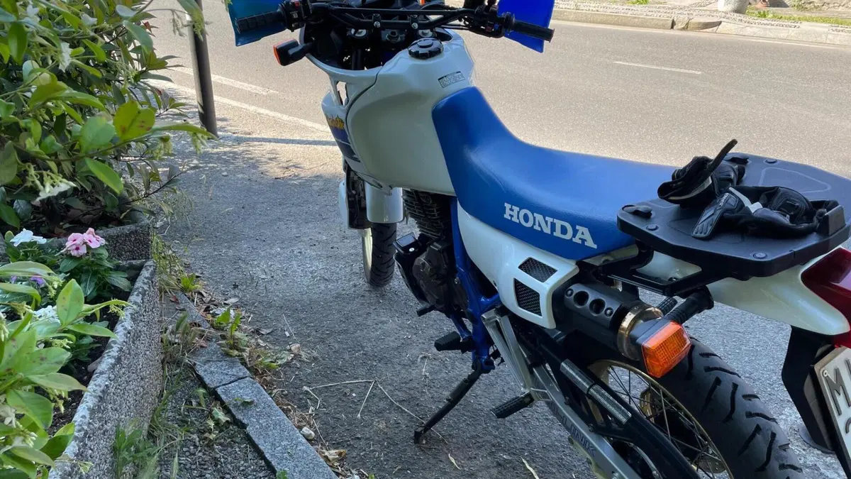 Honda NX 650 Dominator (1991 - 95)  (4)