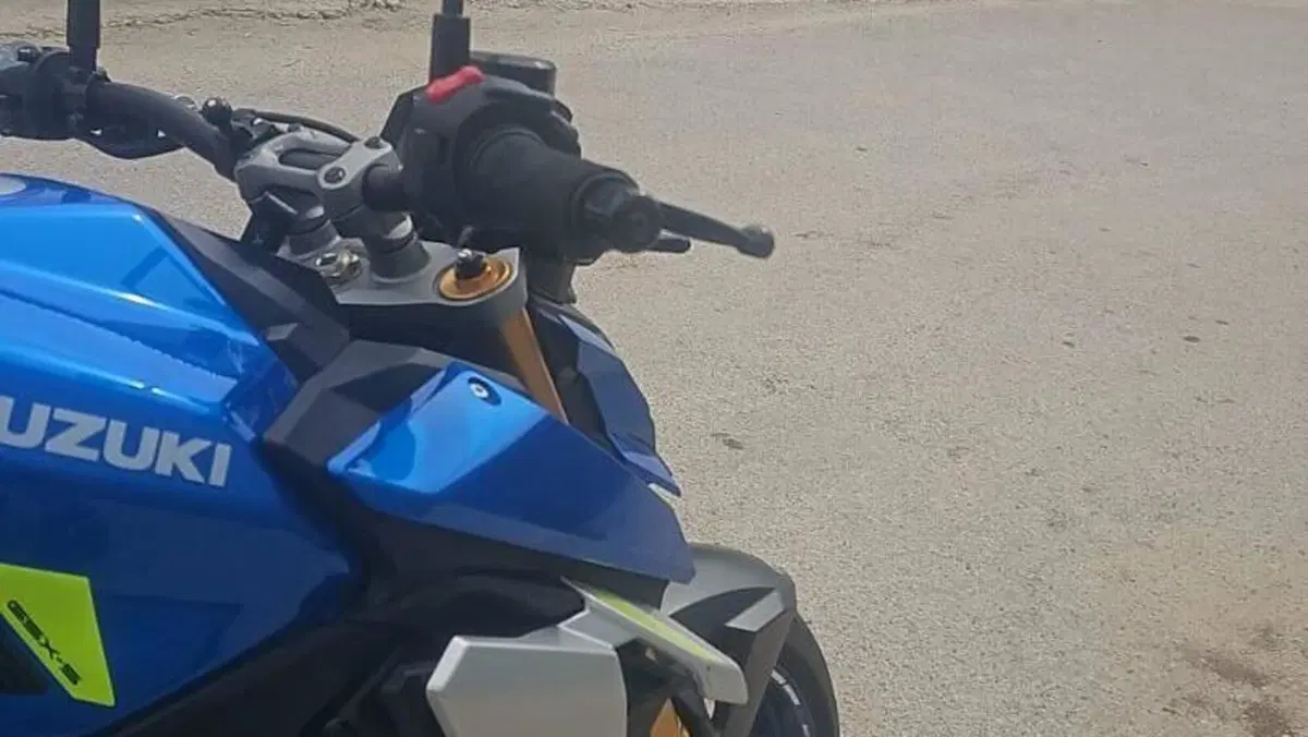 Suzuki GSX-S1000 (2021 - 25)  (3)