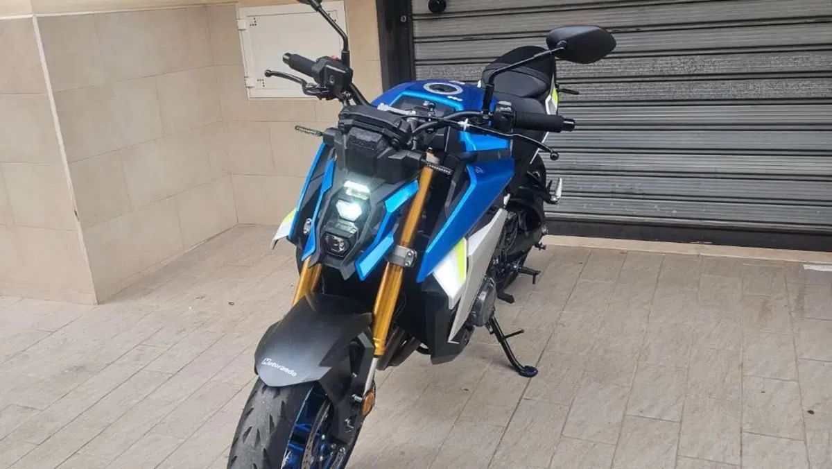 Suzuki GSX-S1000 (2021 - 25)  (5)