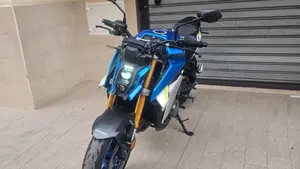 Suzuki GSX-S1000 (2021 - 25)  (5)
