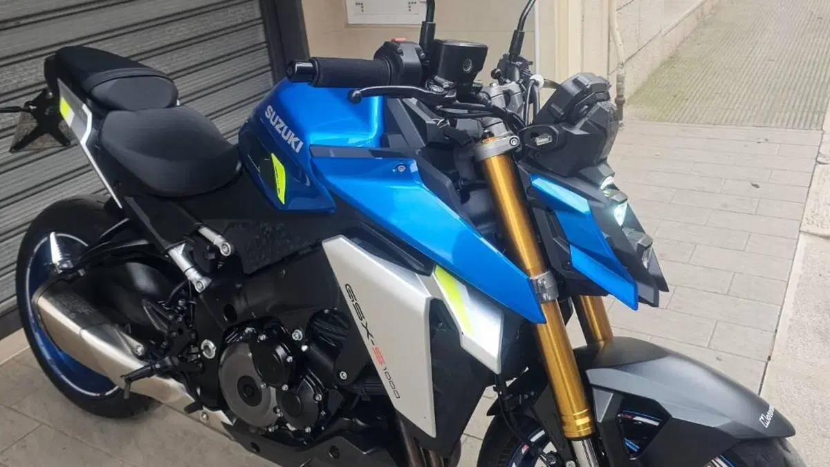 Suzuki GSX-S1000 (2021 - 25)  (6)