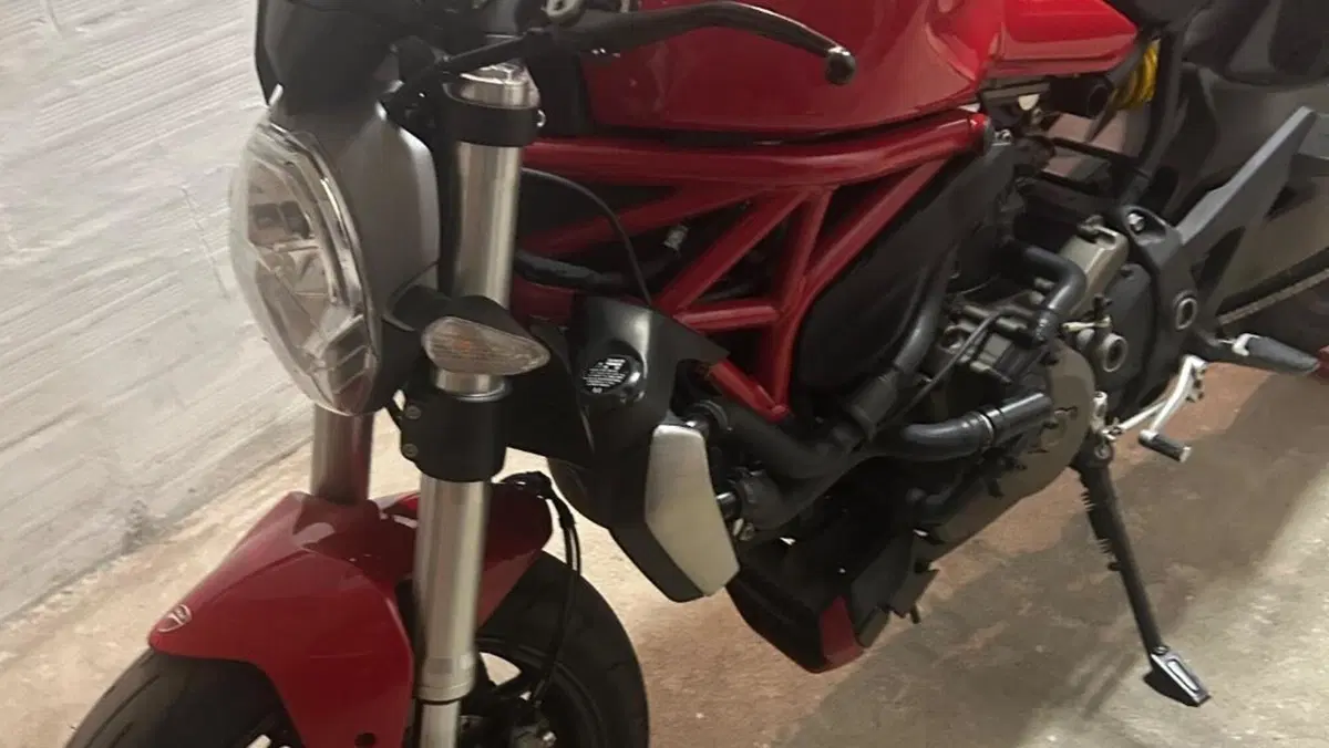 Ducati Monster 1200 (2014 - 16)  (2)