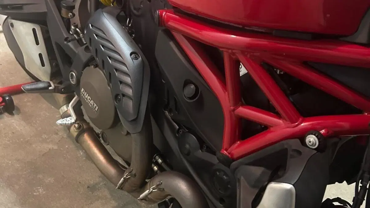 Ducati Monster 1200 (2014 - 16)  (4)