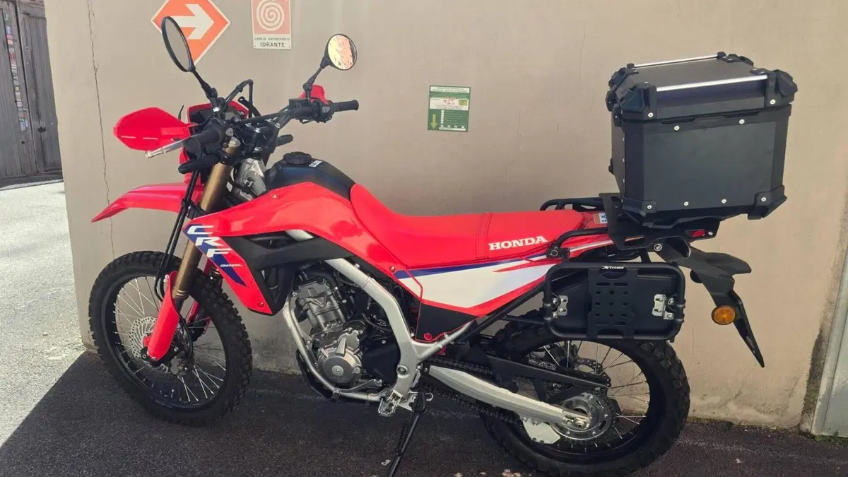 Honda CRF 300L (2025 - 26) 