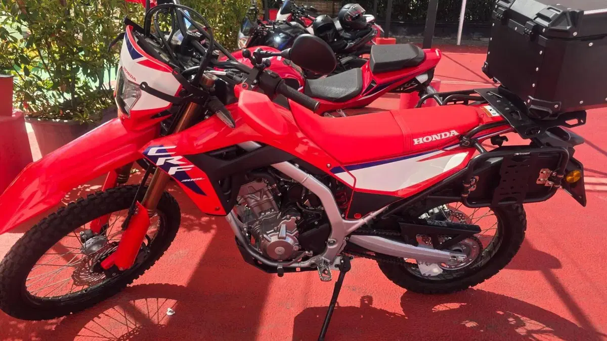 Honda CRF 300L (2025 - 26)  (6)