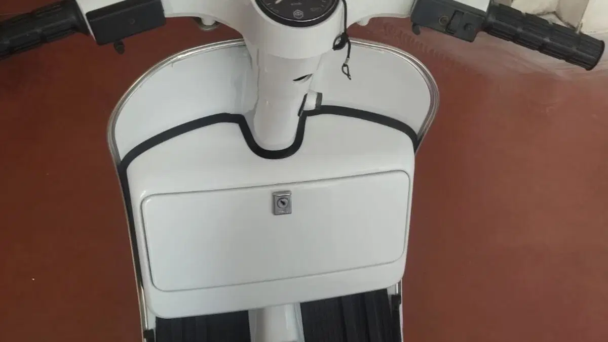 Piaggio   (4)