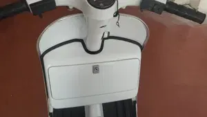 Piaggio   (4)