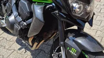 Kawasaki Z 750 (2007 - 14) usata