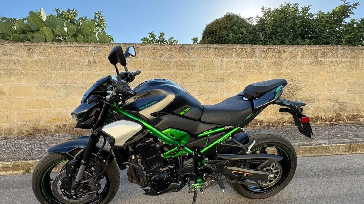 Kawasaki Z 900 A2 Performance (2026) 