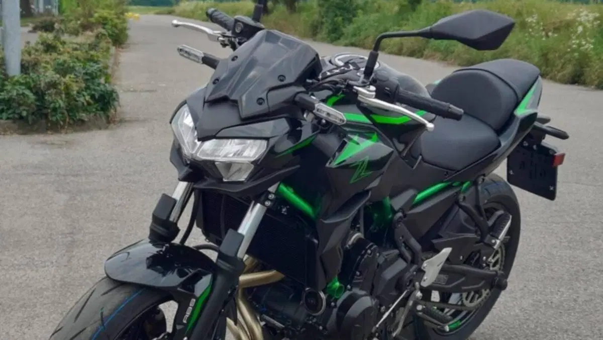 Kawasaki Z 650 (2025 - 26)  (3)