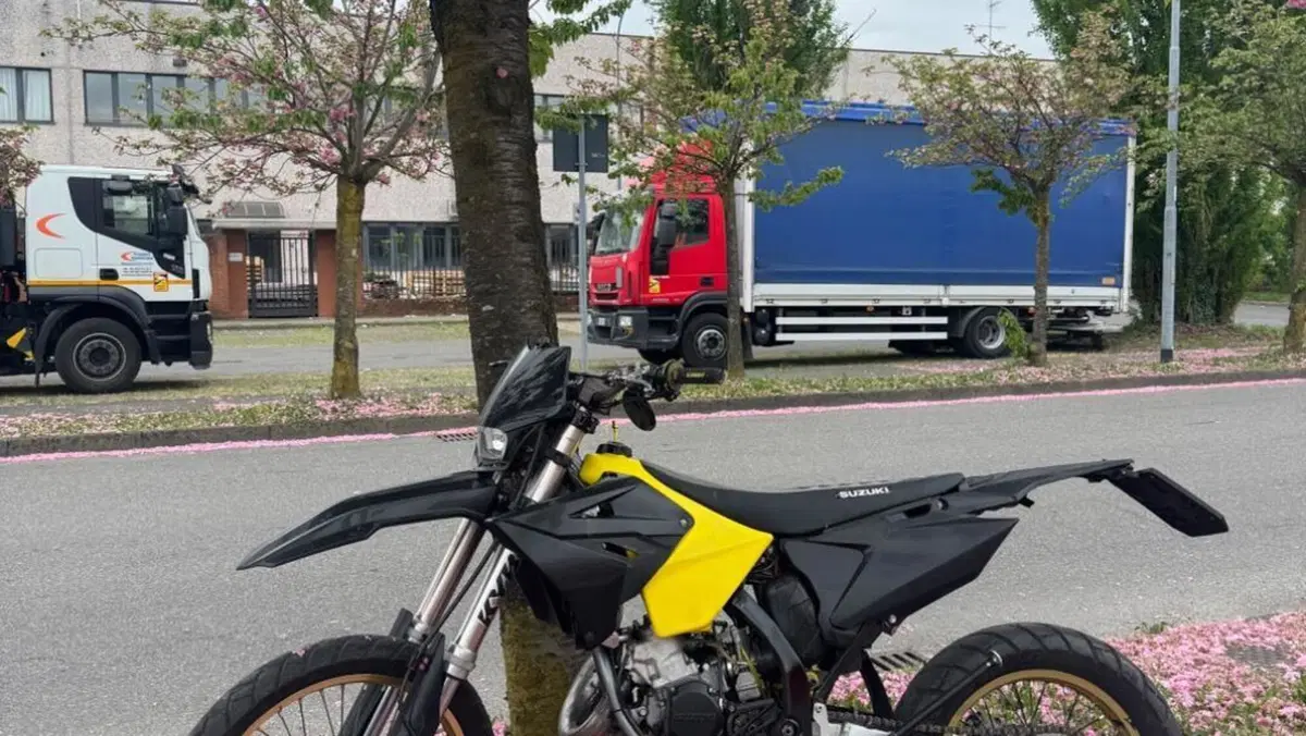 Suzuki RM 125 (2005 - 06) 