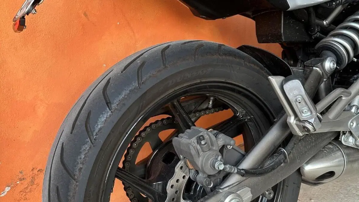 Kawasaki ER-6N (2009 - 11)  (2)