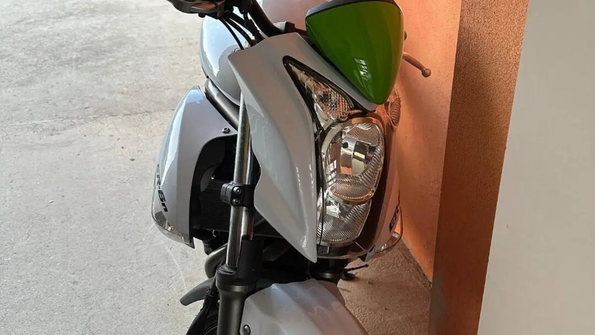 Kawasaki ER-6N (2009 - 11)  (4)