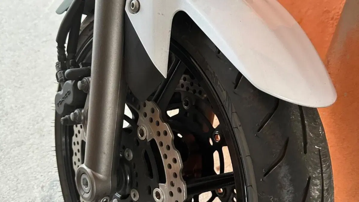 Kawasaki ER-6N (2009 - 11)  (5)