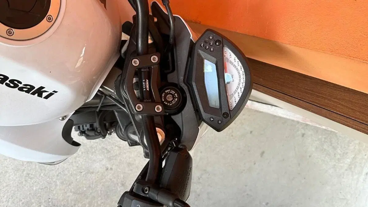 Kawasaki ER-6N (2009 - 11)  (8)