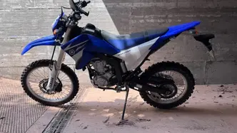 Yamaha WR 250 R (2008 - 13)