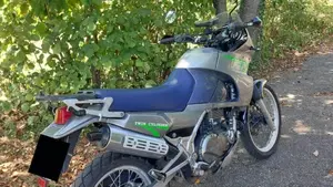 Kawasaki KLE 500 (2001 - 04)  (2)