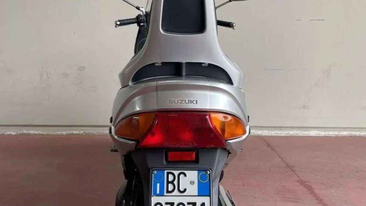 Suzuki   (2)