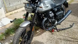 Moto Guzzi V7 Stone (2021 - 24) 