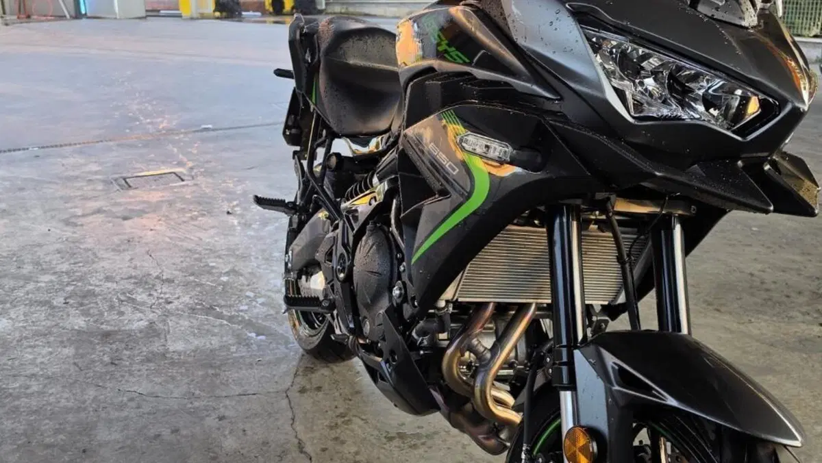 Kawasaki Versys 650 (2025 - 26)  (3)