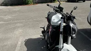Benelli BN 302 S (2019 - 20)  (2)
