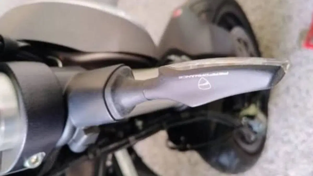 Ducati Monster 821 (2018 - 20)  (6)